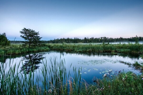 Hermoso paisaje junto al lago en el pueblo