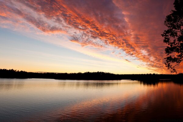 Hermosa puesta de sol por la noche junto al lago