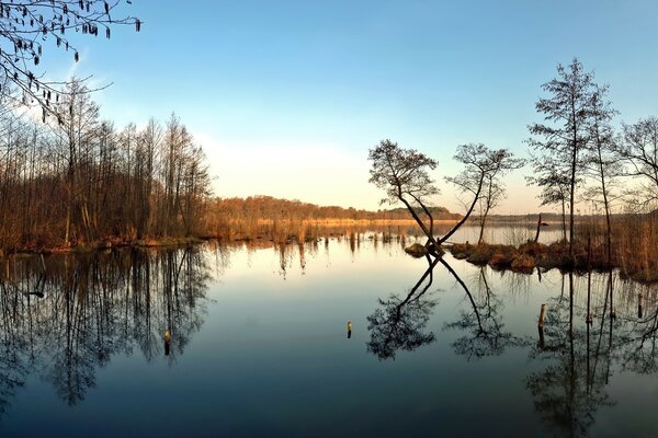 Reflejo del paisaje de la naturaleza en el lago