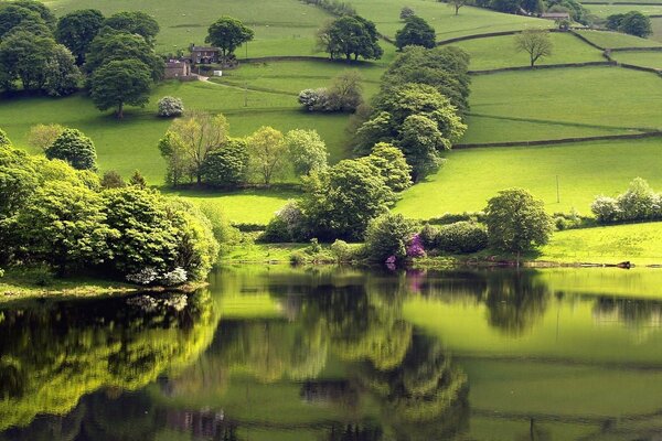 Beautiful landscape of the lake and nature