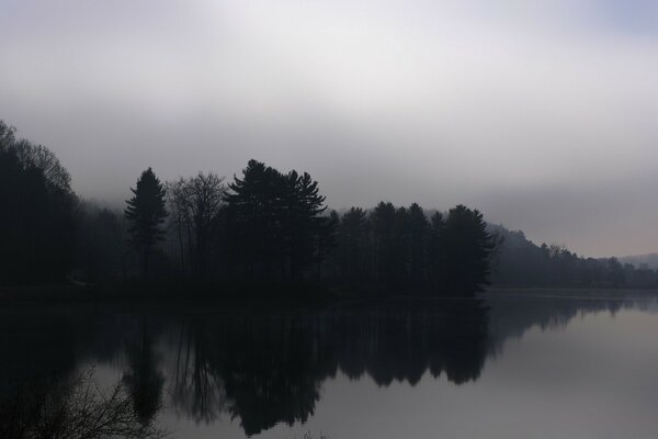 The trees are reflected in the cold lake