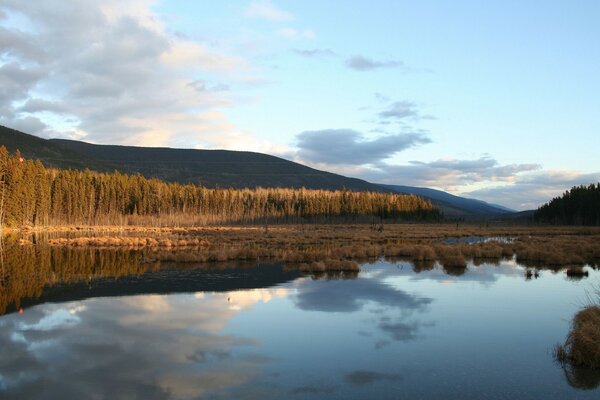 Beau paysage de lac de montagnes et d arbres