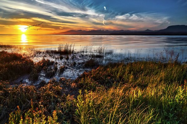 Naturlandschaft mit einem Schwarm von Vögeln bei Sonnenuntergang Hintergrund