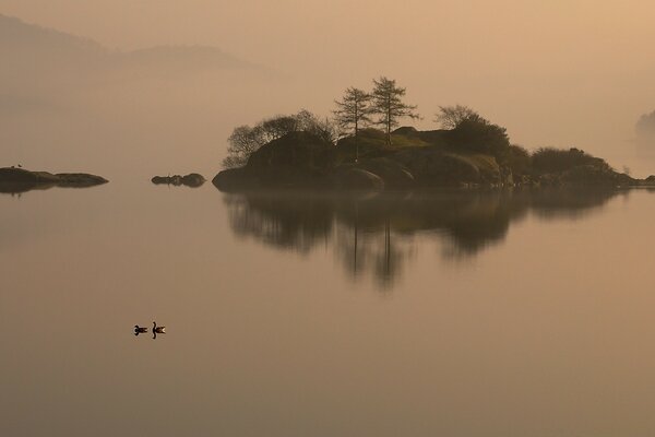 Ducks on the lake by the fireplace island