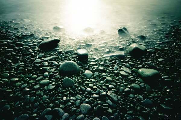 الحجارة الرطبة الرمادية والضوء