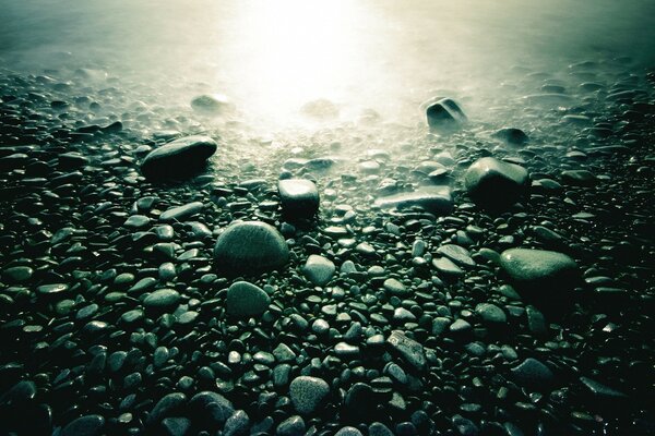 Grey wet stones and light