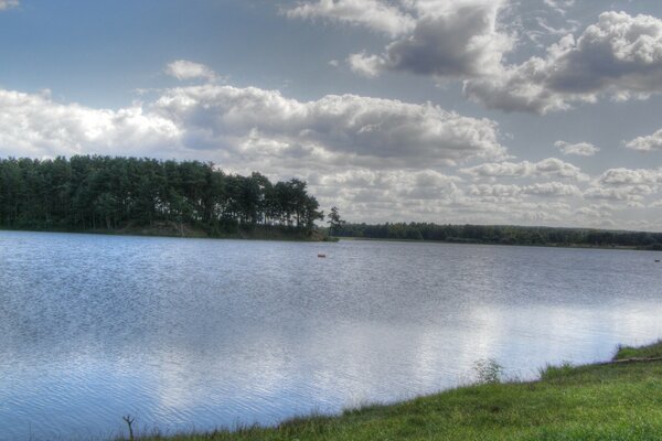 The surface of the lake and the gray forest