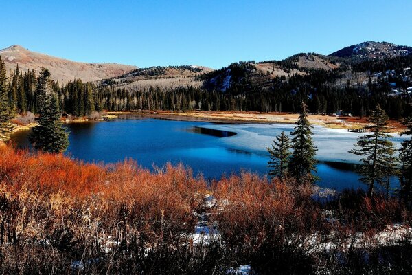 A LAKE AMONG MOUNTAINS AND FORESTS