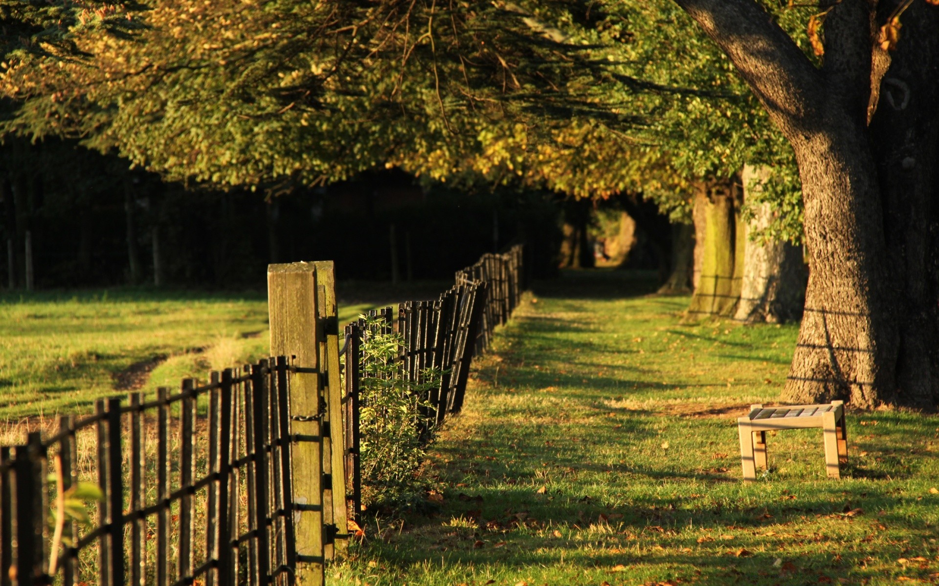 estate albero recinzione paesaggio erba legno all aperto natura autunno vecchio foglia viaggi parco luce fattoria paese scenic luce del giorno