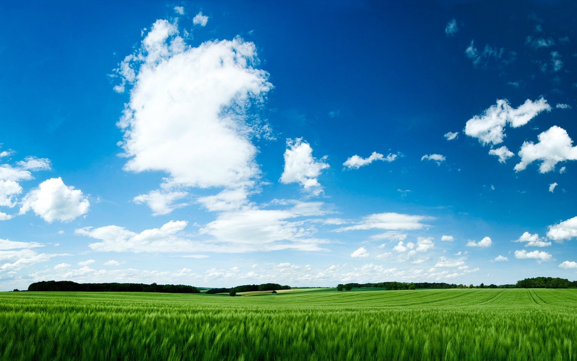 été rural herbe pâturage campagne nature champ extérieur ferme agriculture ciel beau temps terres agricoles idylle foin croissance sol soleil