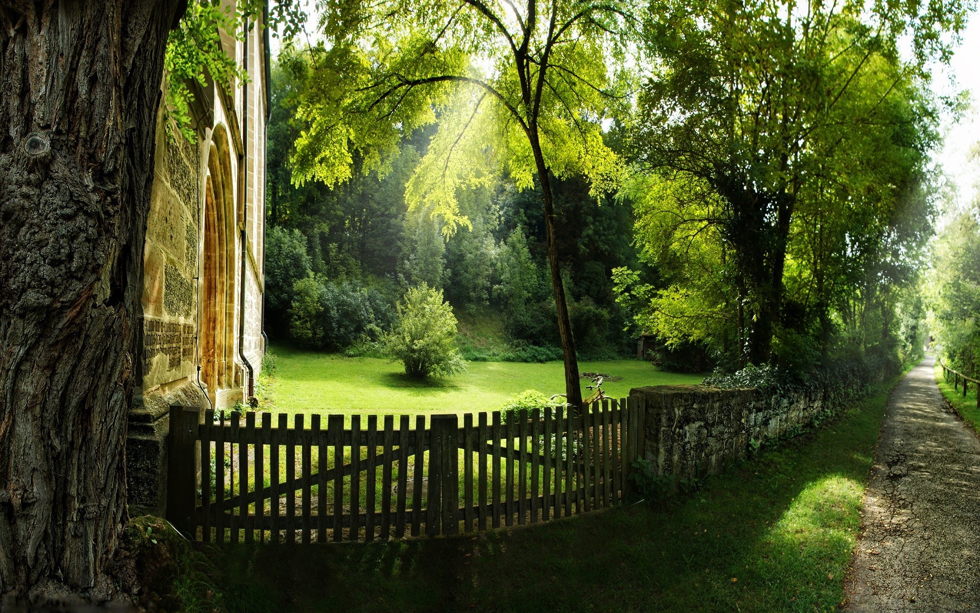 estate albero di legno parco guida paesaggio erba giardino esterno natura foglia sentiero lussureggiante flora