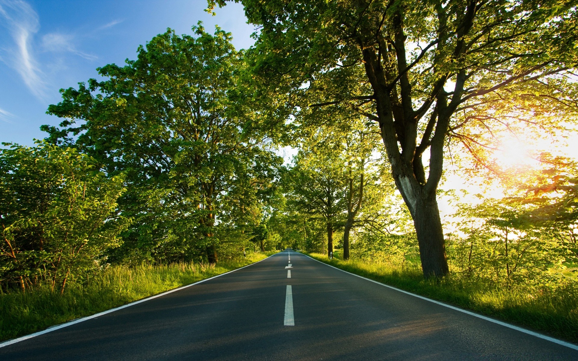 sommer straße führung baum landschaft asphalt län rlich perspektive gasse blatt natur holz landschaft autobahn umwelt fahren im freien landschaftlich gras sonne