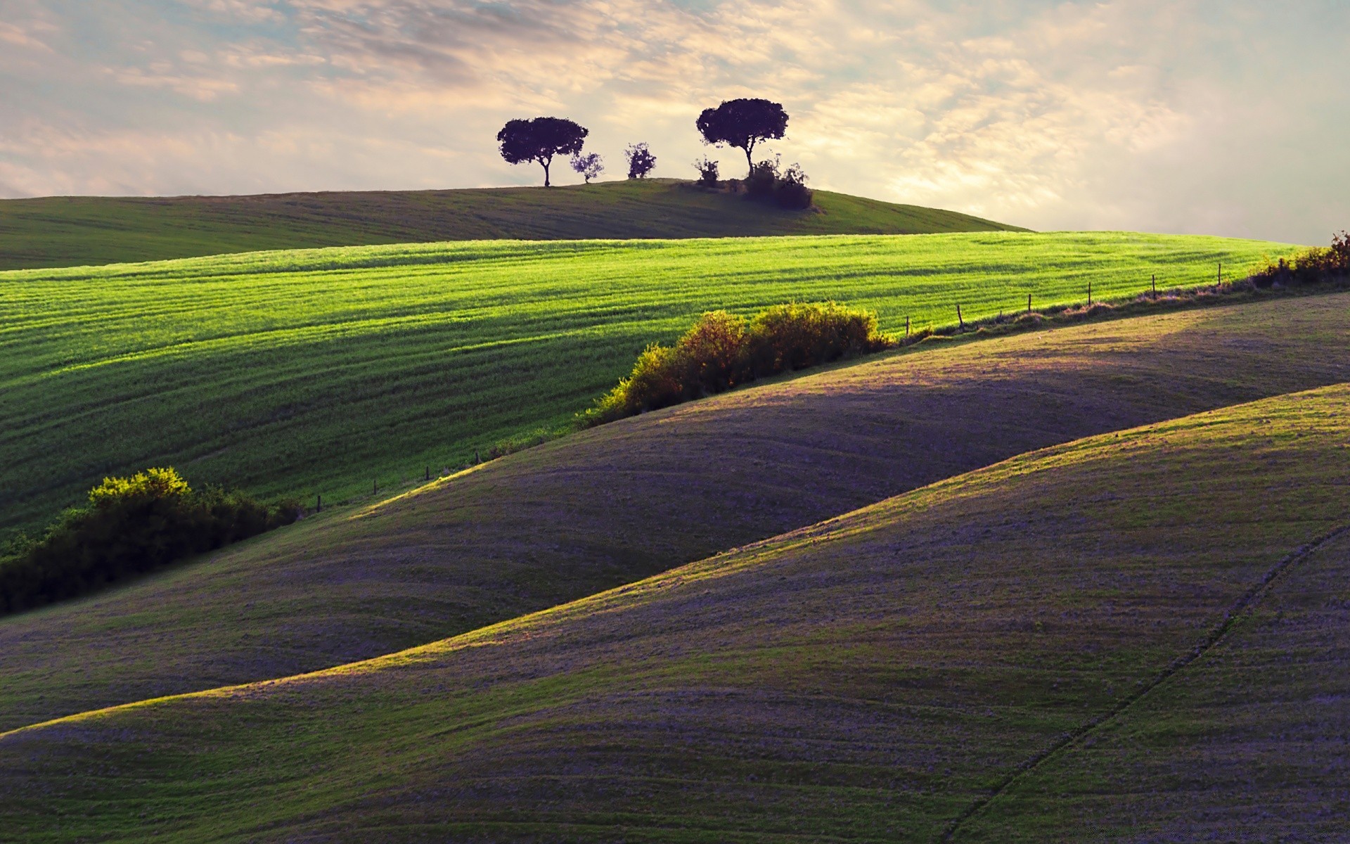 estate paesaggio agricoltura natura campagna rurale all aperto terreno coltivato campo azienda agricola cielo erba albero pascolo terreno agricolo pastorale