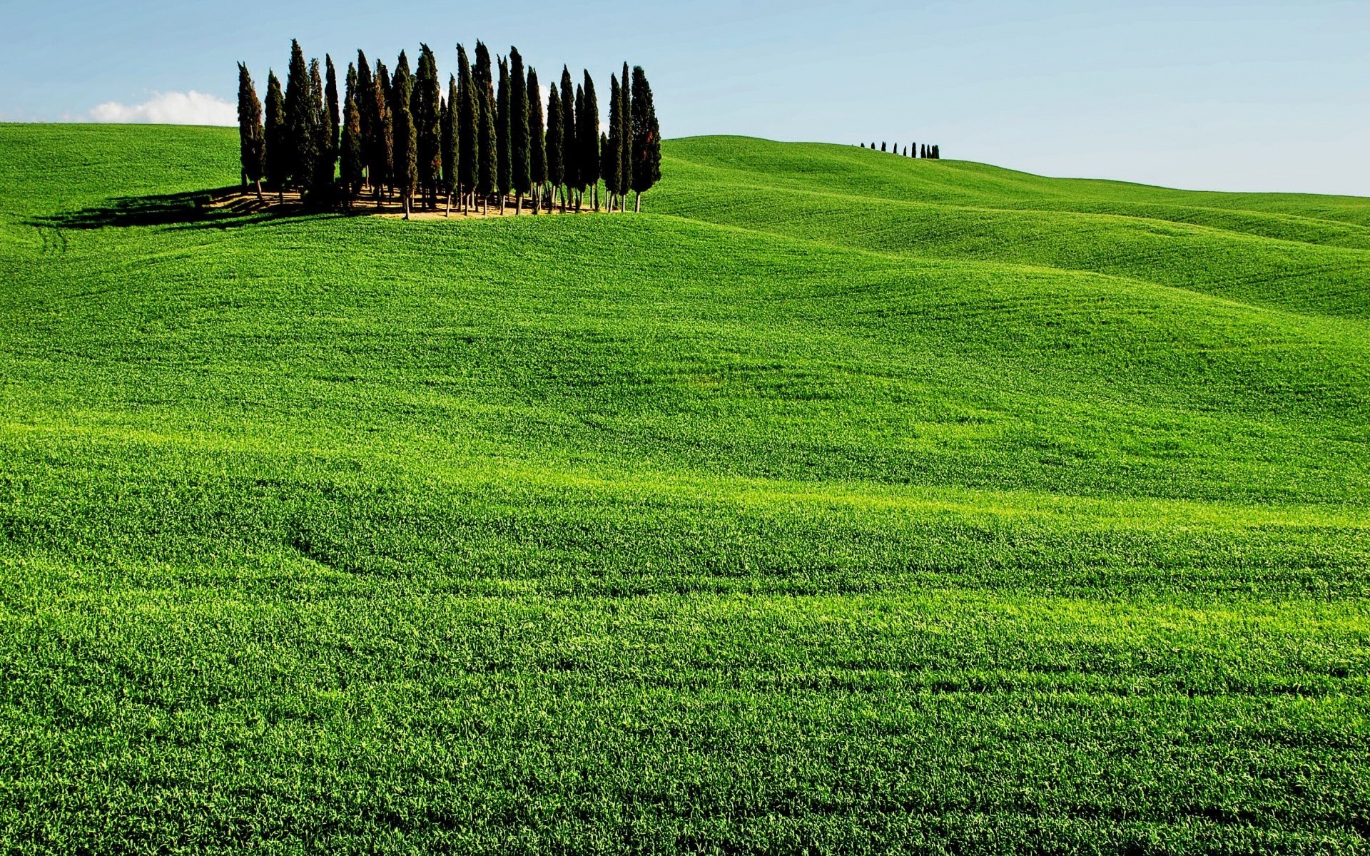 été agriculture champ ferme paysage pâturage rural campagne foin herbe sol croissance terres agricoles pays nature flore terres cultivées horizon pâturage récolte