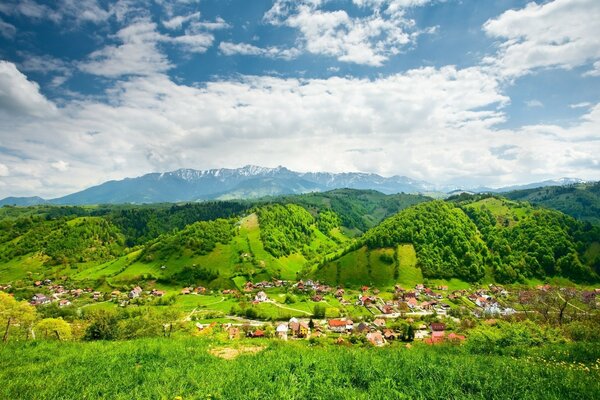 Summer landscape of green nature