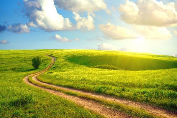 Sommerlandschaft - Feld und blauer Himmel