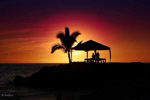 People in a gazebo on the beach under a palm tree admire the sunset