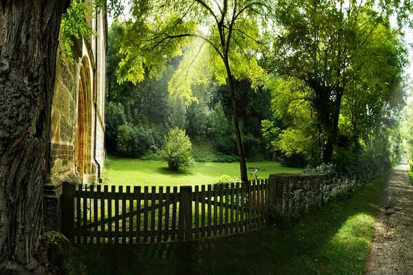 Yaz manzarası. Güneşli bir günde yeşil park