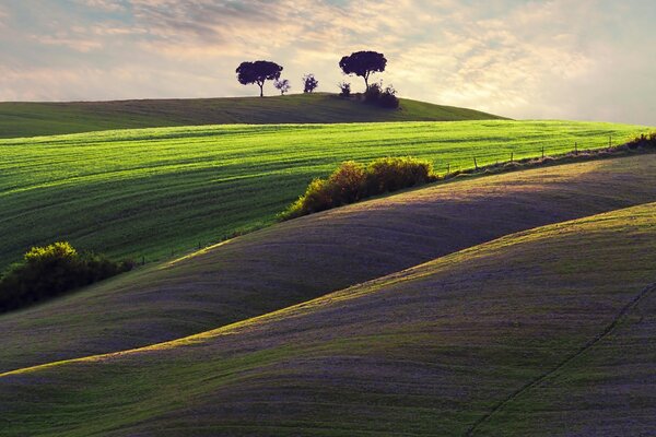 Summer landscape of the countryside