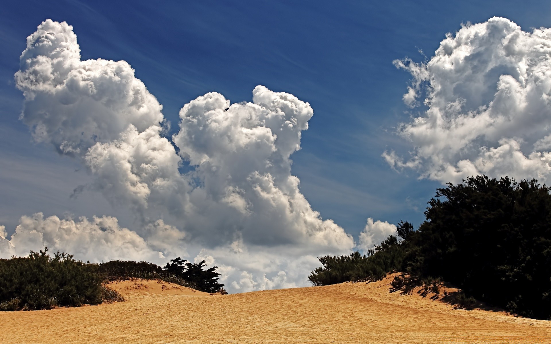 verão céu paisagem natureza ao ar livre bom tempo árvore viagens sol solo nuvem tempo luz do dia agricultura campo