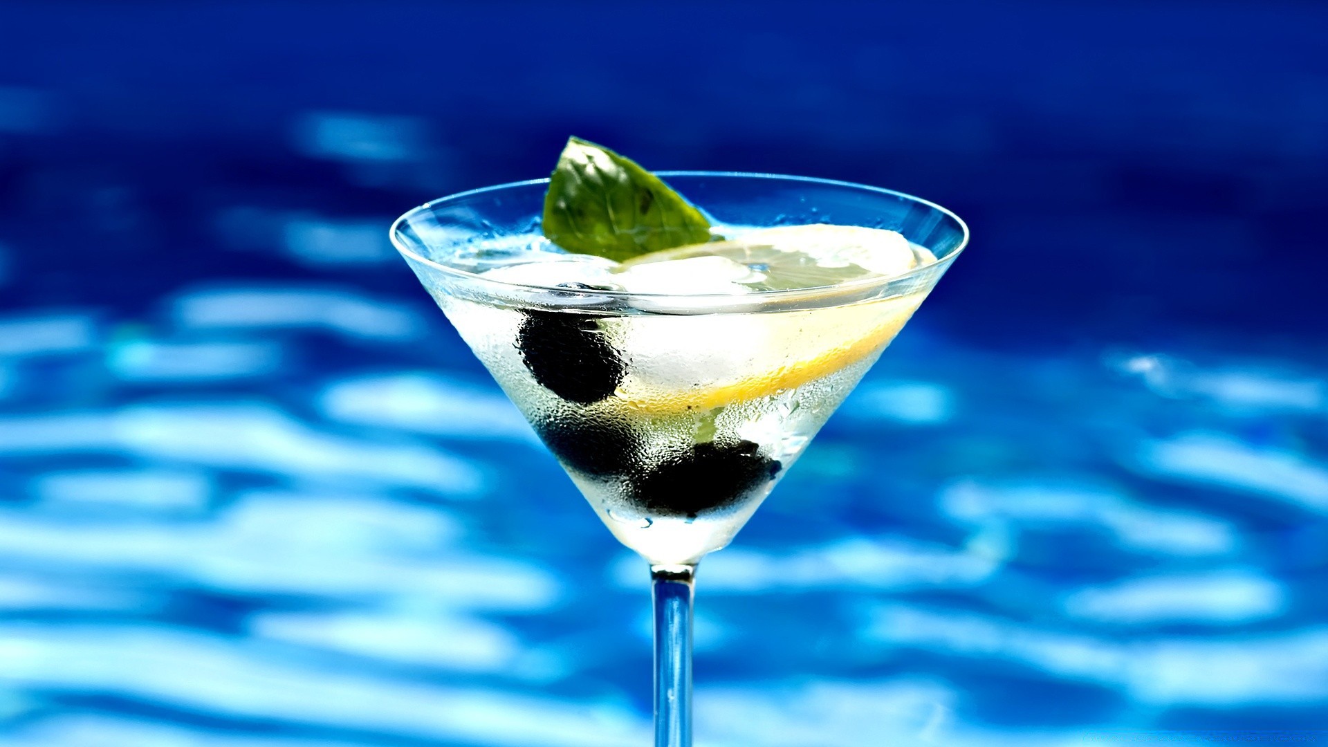 summer cocktail drink vodka cold glass ice party martini gin wet cool refreshment liquor alcohol bar