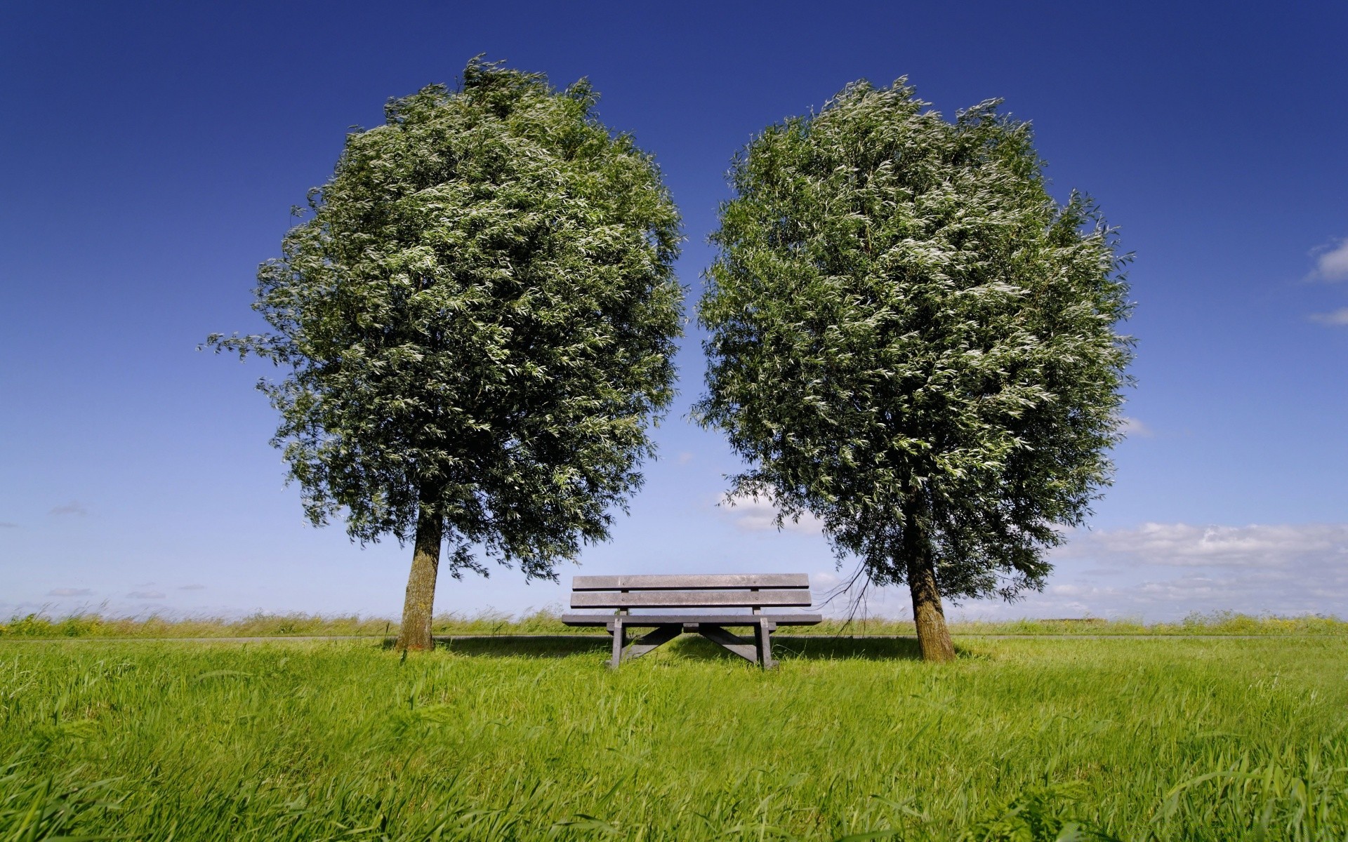 summer grass landscape sky tree nature outdoors field hayfield rural countryside wood agriculture cloud idyllic country environment