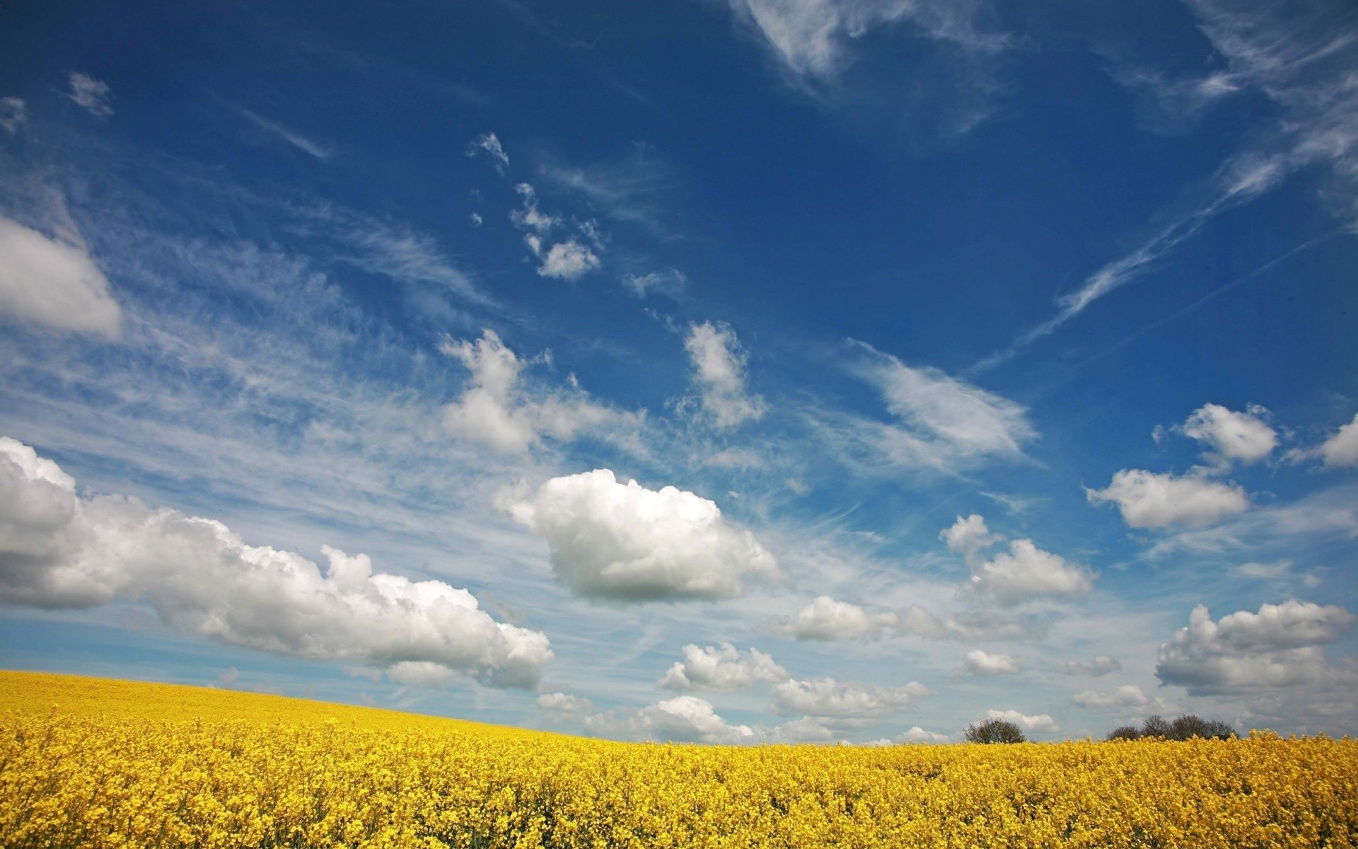 été paysage ciel agriculture nature champ en plein air ferme récolte campagne nuage rural arbre beau temps météo horizon lumière du jour panoramique scénique