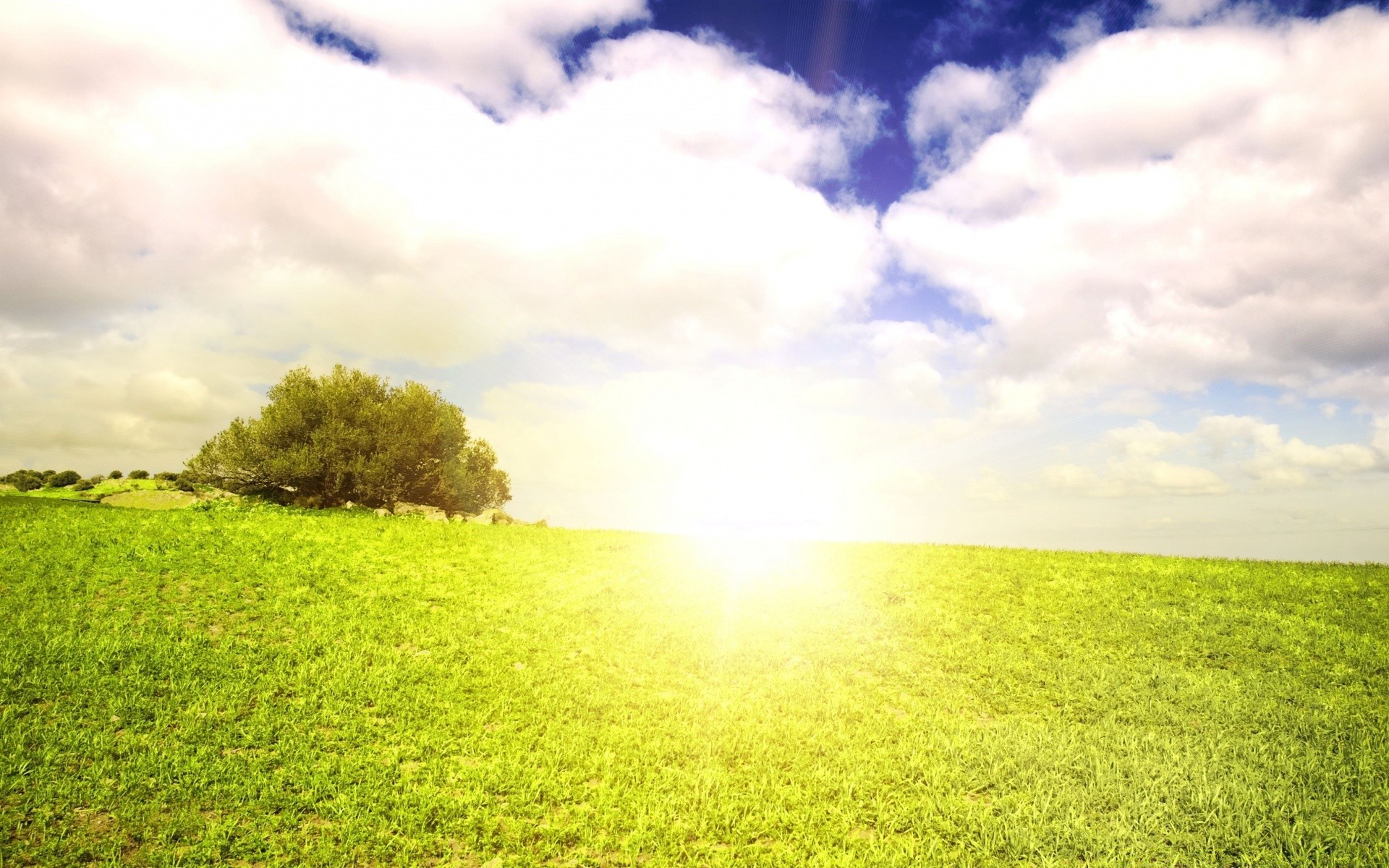 verano hierba paisaje rural naturaleza campo sol campo buen tiempo cielo al aire libre heno pasto suelo amanecer brillante idilio nube horizonte