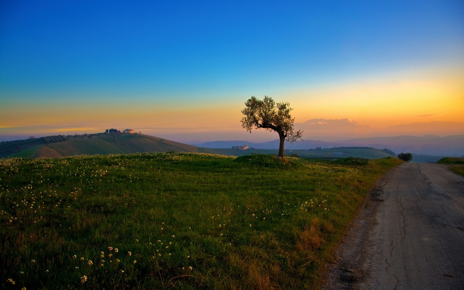 estate paesaggio tramonto alba cielo albero sera natura viaggi crepuscolo all aperto sole montagna erba