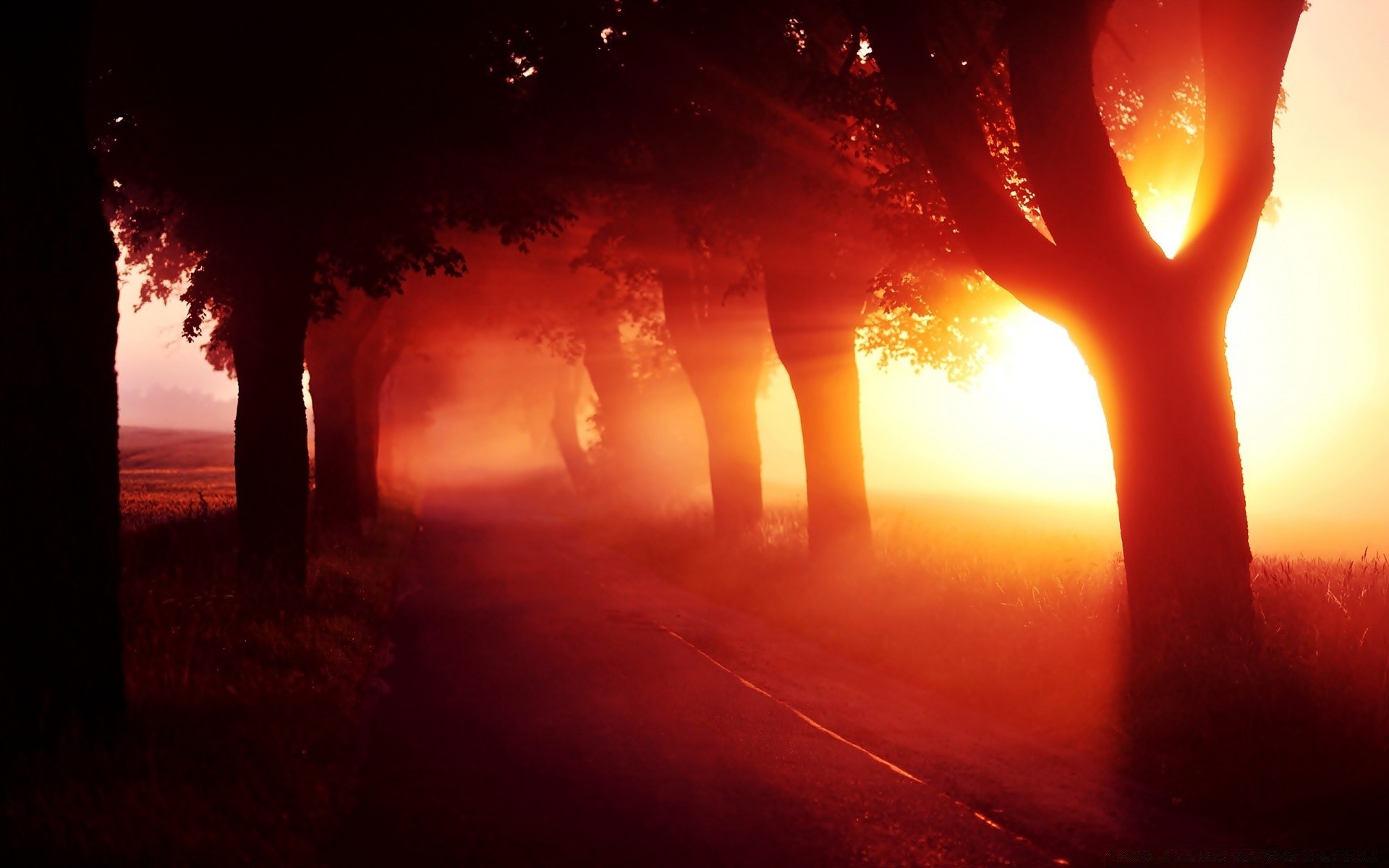 sommer sonnenuntergang rauch dämmerung silhouette hintergrundbeleuchtung abend flamme sonne licht dämmerung dunkel himmel im freien gruselig landschaft heiß nebel