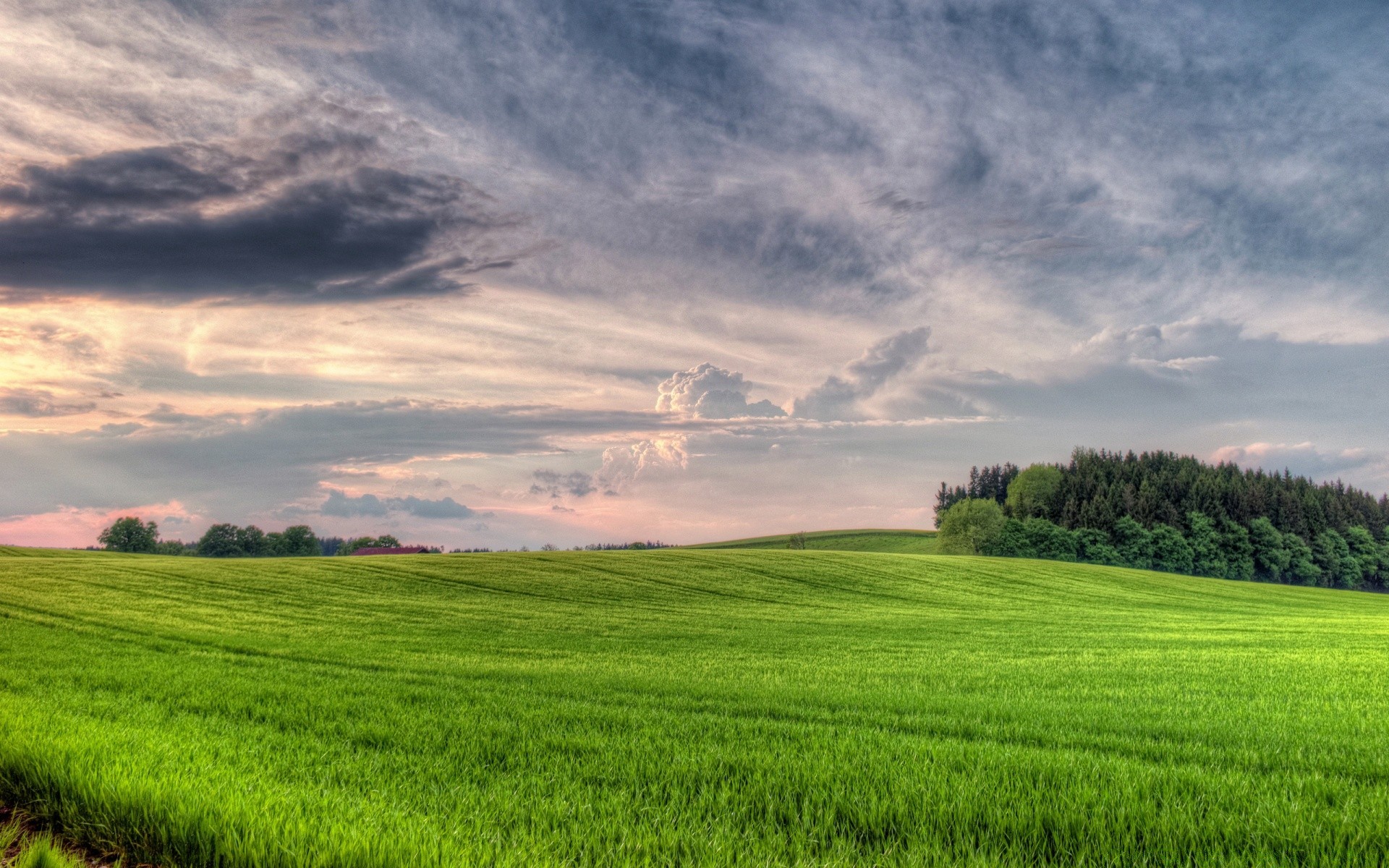 lato krajobraz rolnictwo pole wiejskie wiejskie natura pastwisko gospodarstwo trawa niebo na zewnątrz ziemia uprawna chmura wzrost idylla dobra pogoda słońce horyzont