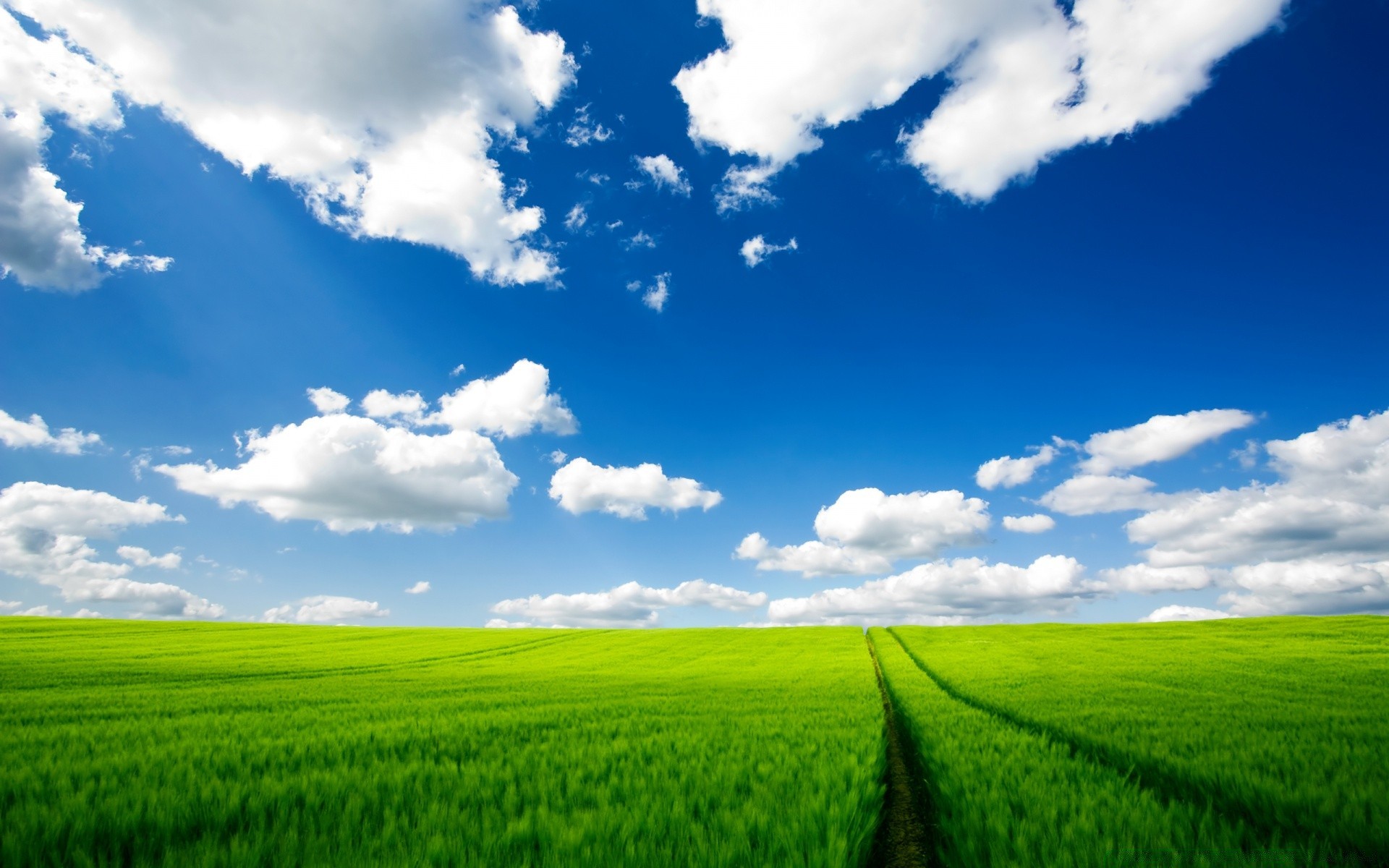 summer field rural pasture nature countryside cloud landscape grass sky farm fair weather cloudy soil agriculture sun hayfield horizon