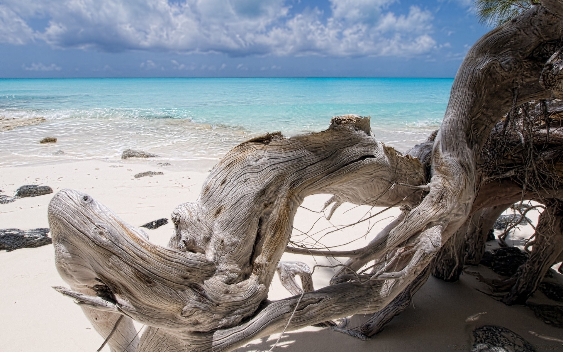 summer water beach seashore sea ocean travel sand sky landscape island wave nature vacation tropical shore driftwood