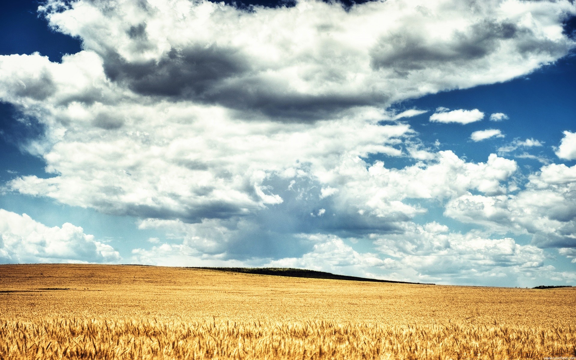 sommer himmel landschaft natur weizen landwirtschaft im freien feld des ländlichen weide flocken landschaft bauernhof ernte wolke gutes wetter mais bebautes land boden