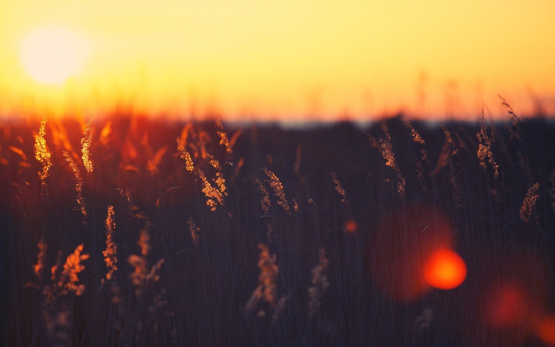 summer sunset evening dawn sun dusk landscape backlit sky outdoors nature light blur fair weather silhouette winter fog