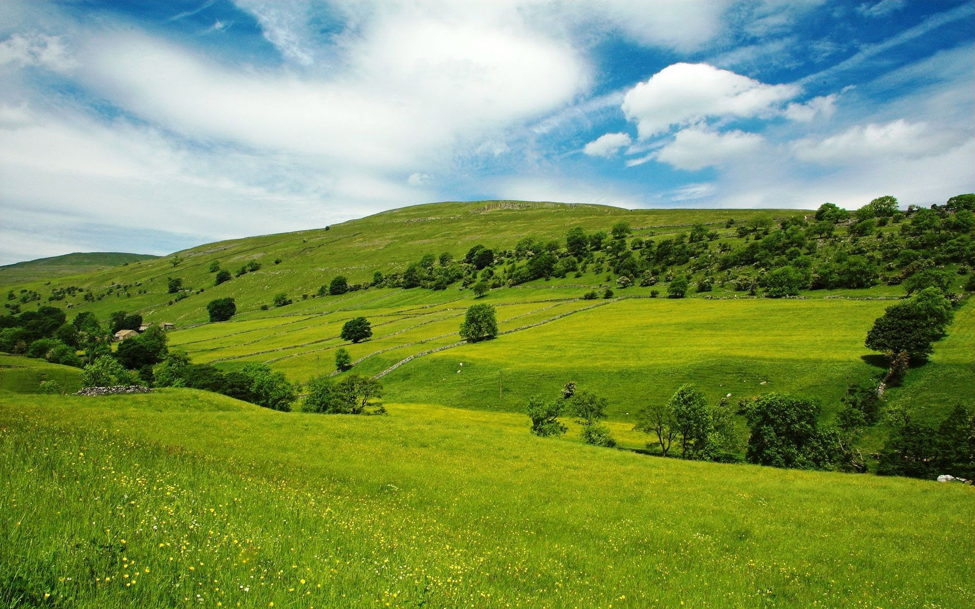 été paysage herbe champ foin nature campagne agriculture colline rural pâturage à l extérieur arbre pâturage ciel ferme pittoresque pays terres cultivées