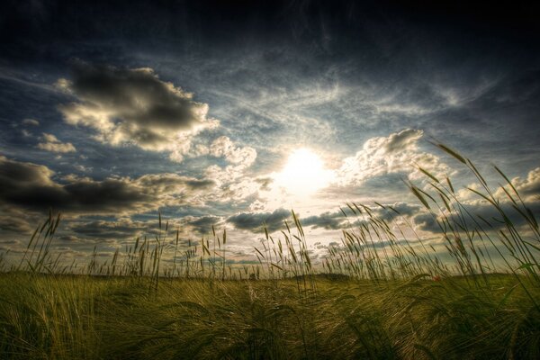 Sommerlandschaft mit Sonnenuntergang