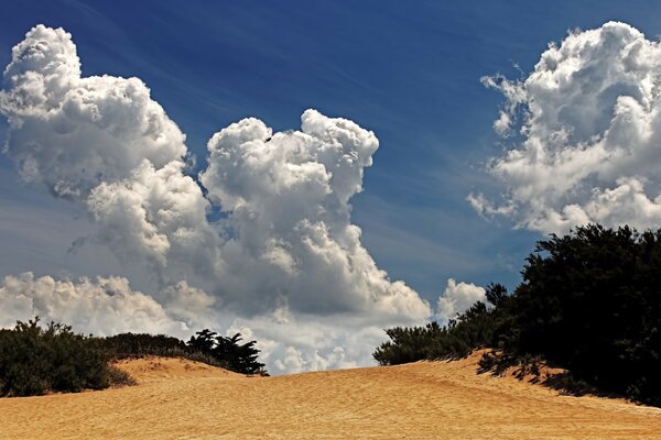 Sommerhimmel und Cumulus-Wolken