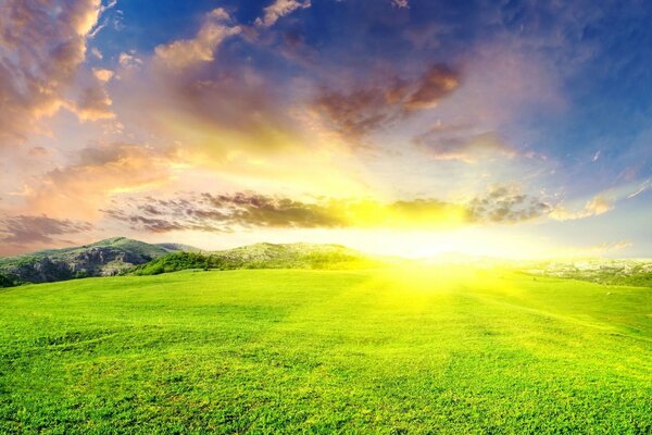 Nature outdoors in summer - grass, sun