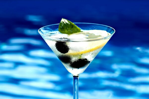 Cocktail in a steamed glass with lemon, mint and olives