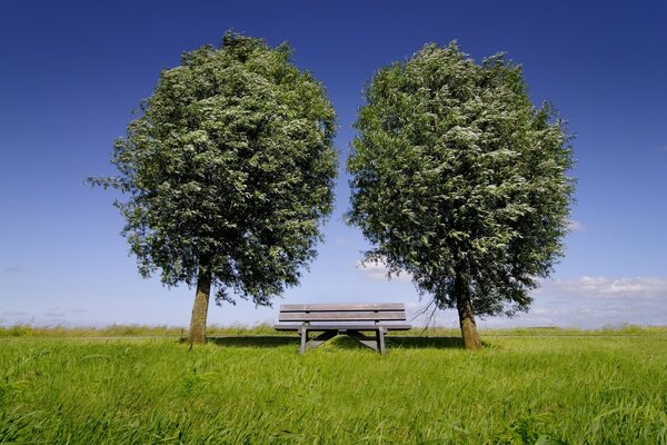 सुंदर गर्मियों का परिदृश्य सूरज चमक रहा है