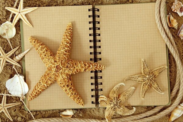 Estrellas de mar con cuaderno a cuadros