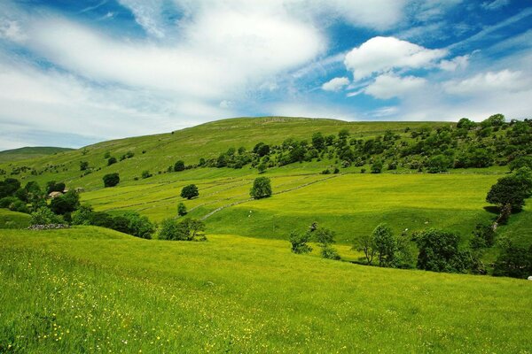 Літній пейзаж з блакитними небом