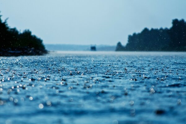 Sommerlandschaft: Viel Wasser