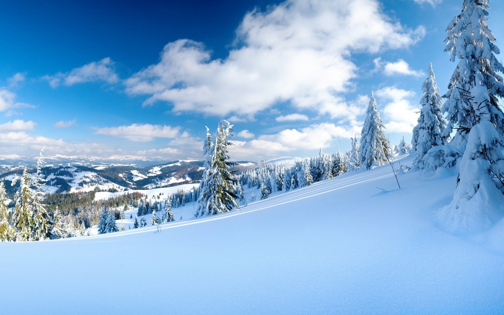 invierno nieve frío montaña escénico madera escarcha congelado hielo paisaje nevado temporada resort árbol tiempo colina polvo abeto pista buen tiempo