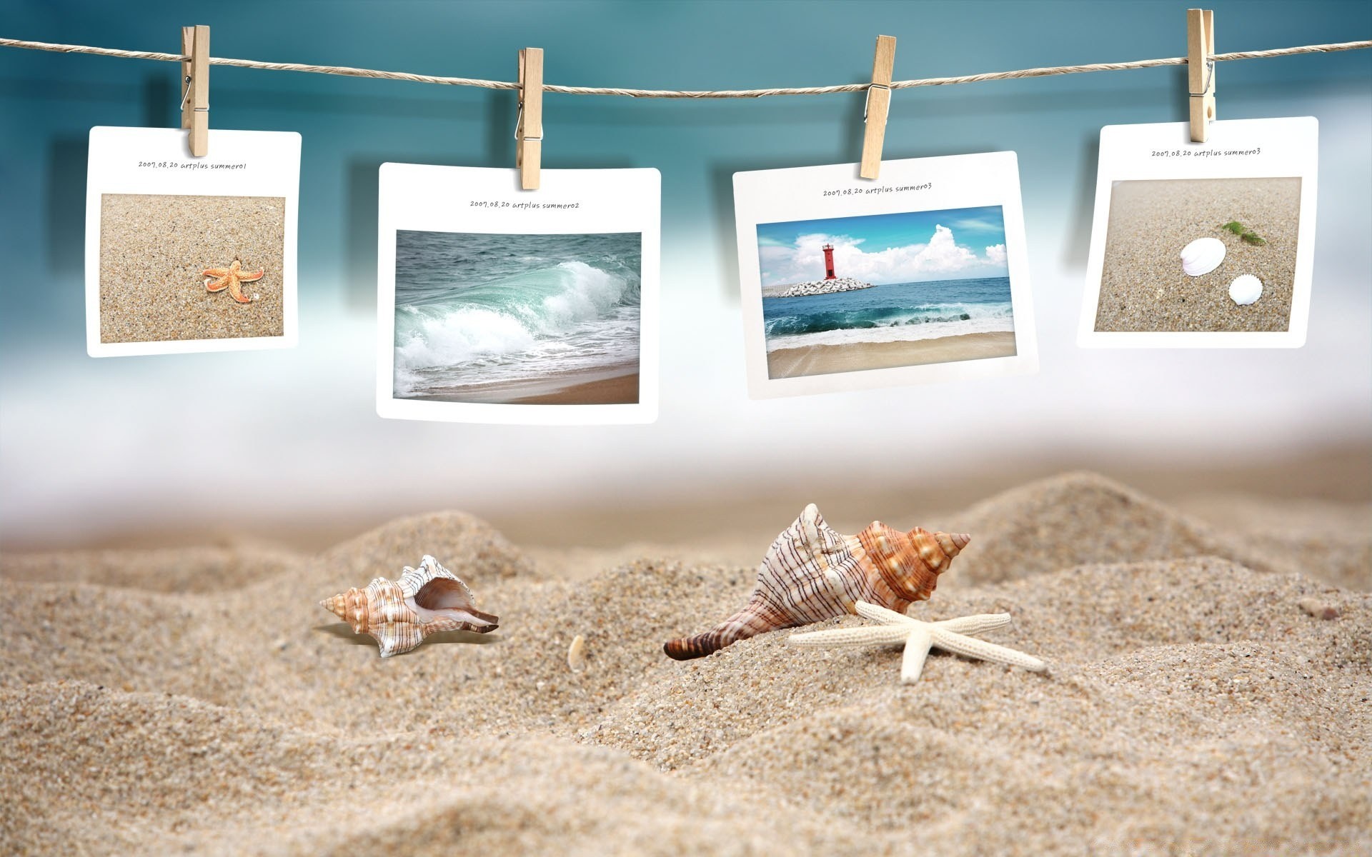 summer sand beach rope seashore seashell empty starfish clothespin dry sea relaxation nature clothesline wood vacation