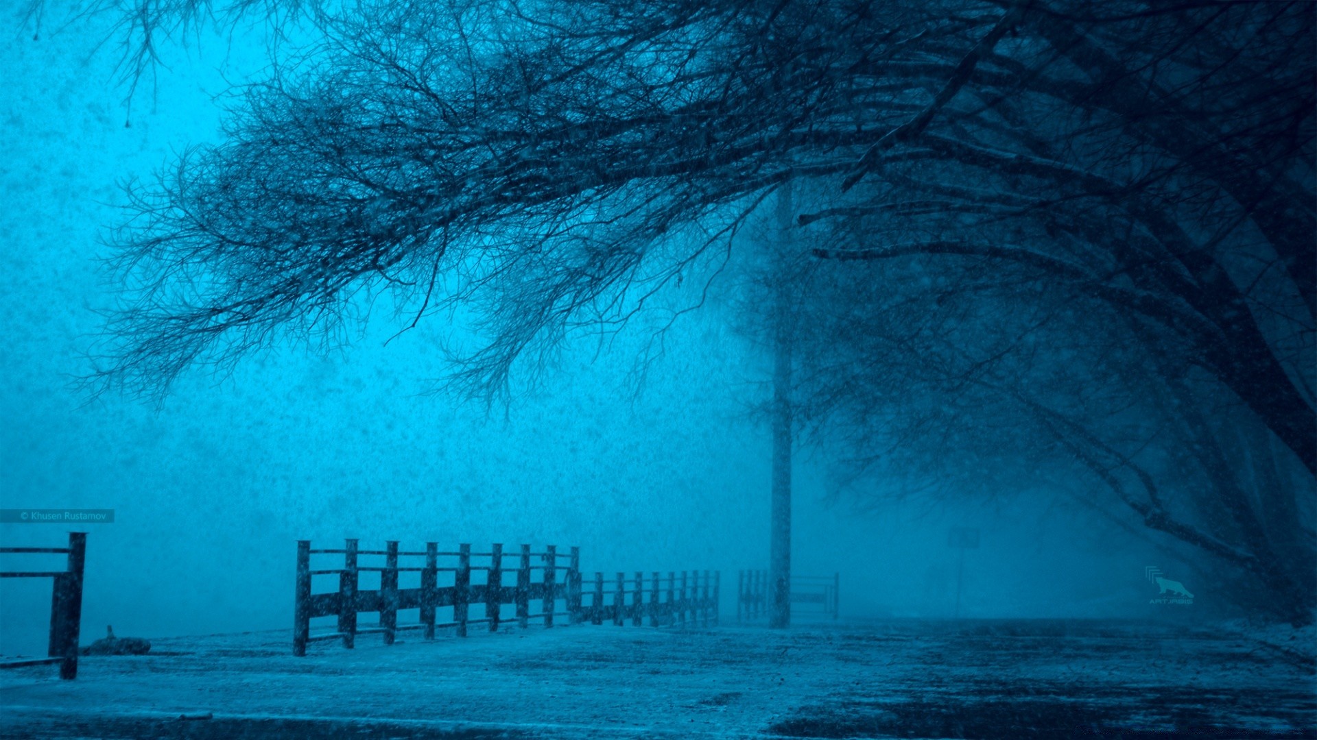 invierno paisaje oscuro agua espeluznante misterio mar tiempo océano naturaleza niebla escritorio luz resumen lago reflexión