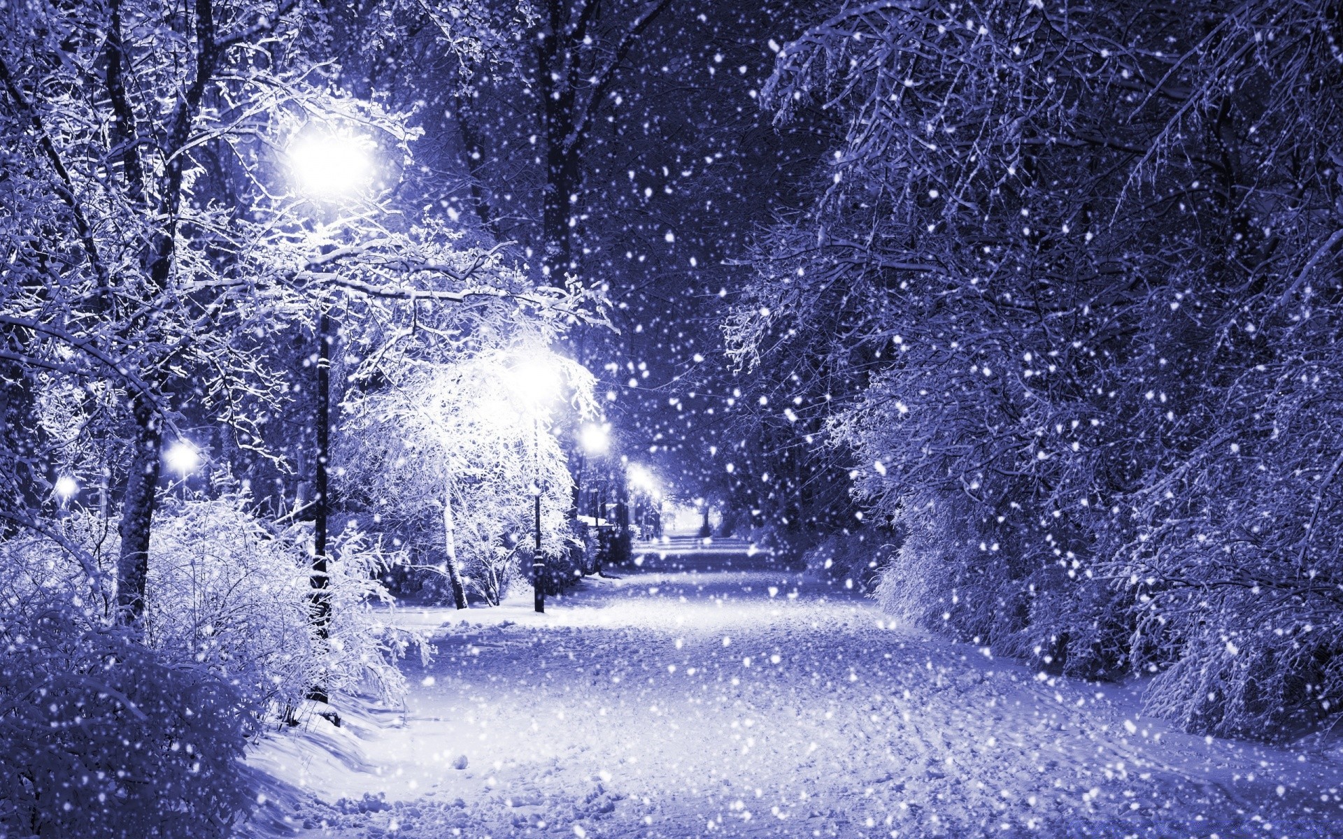 winter schnee frost kälte wetter natur im freien eis gefroren jahreszeit weihnachten gutes wetter desktop