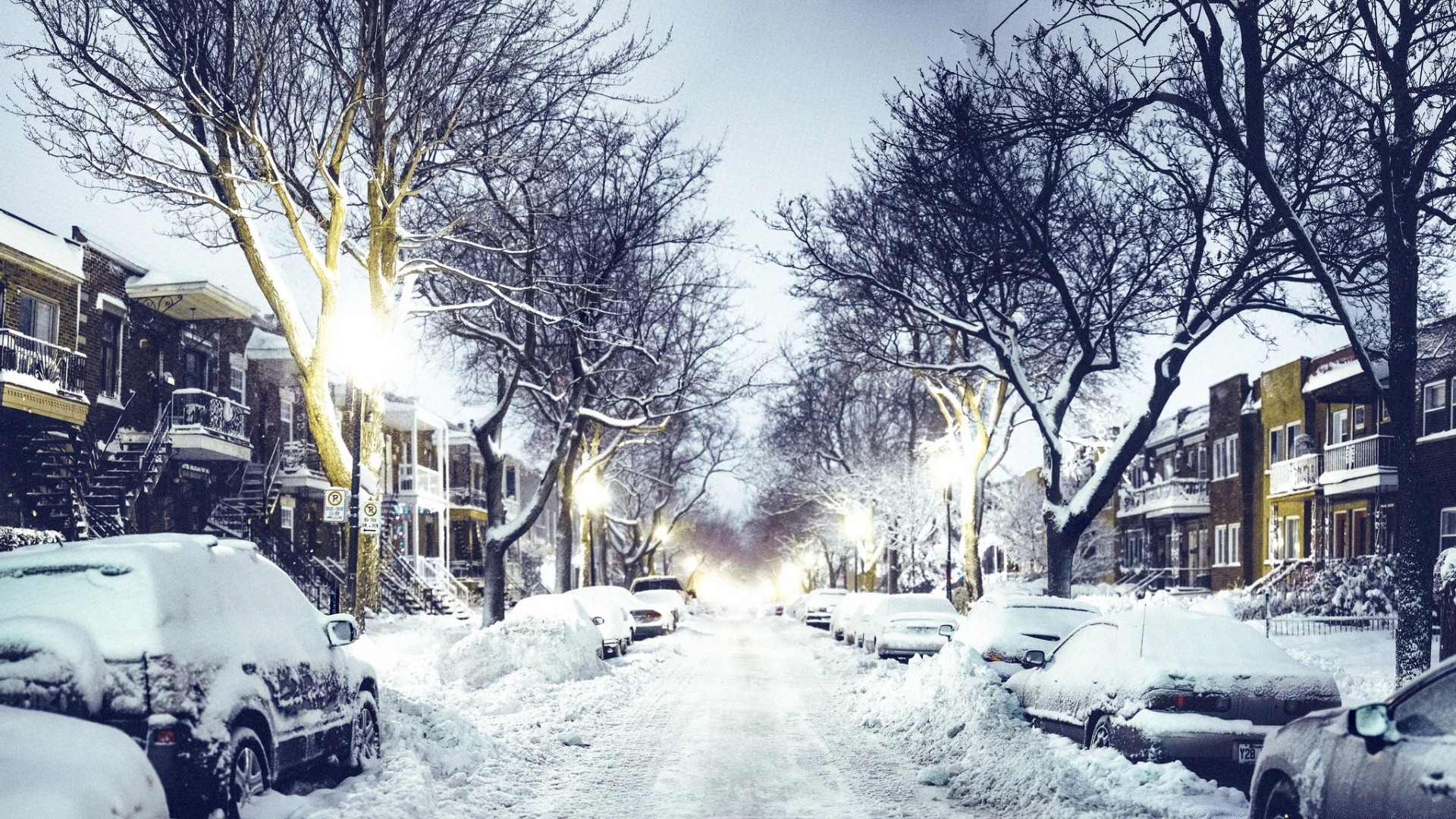 kış kar frost hava durumu soğuk donmuş kar fırtınası buz yol sokak sezon ağaç fırtına açık havada