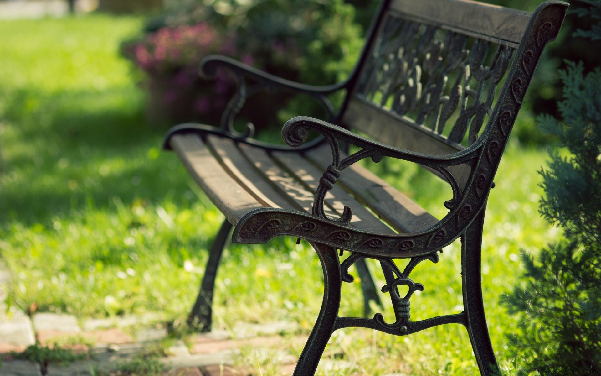 verano jardín asiento banco silla parque naturaleza madera vacío al aire libre hierba hoja resto exterior flora árbol relajación solo césped